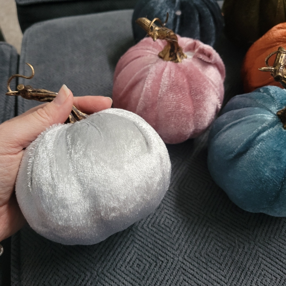 Set of 6 Dollar Tree Velvet Pumpkins - Picture 5 of 9